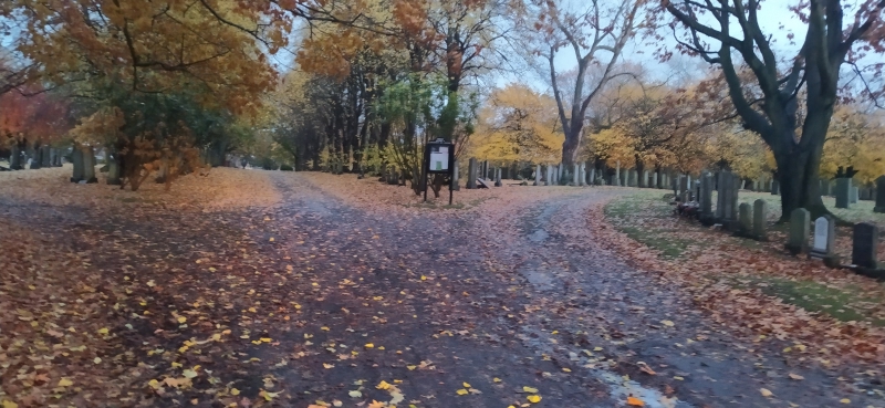 Corstorphine Hill Cemetery